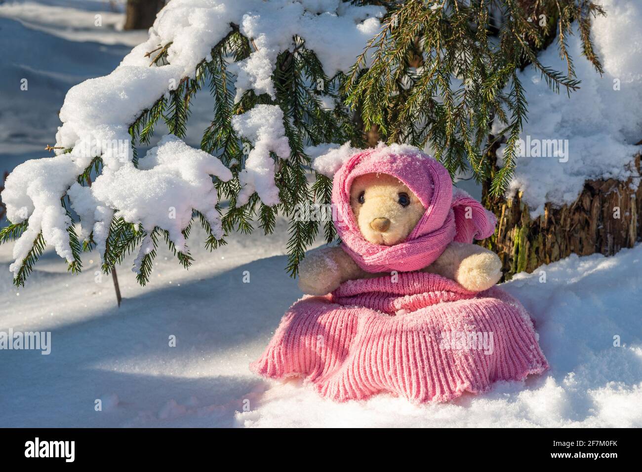 Teddy bear wearing hat and scarf hi-res stock photography and ...