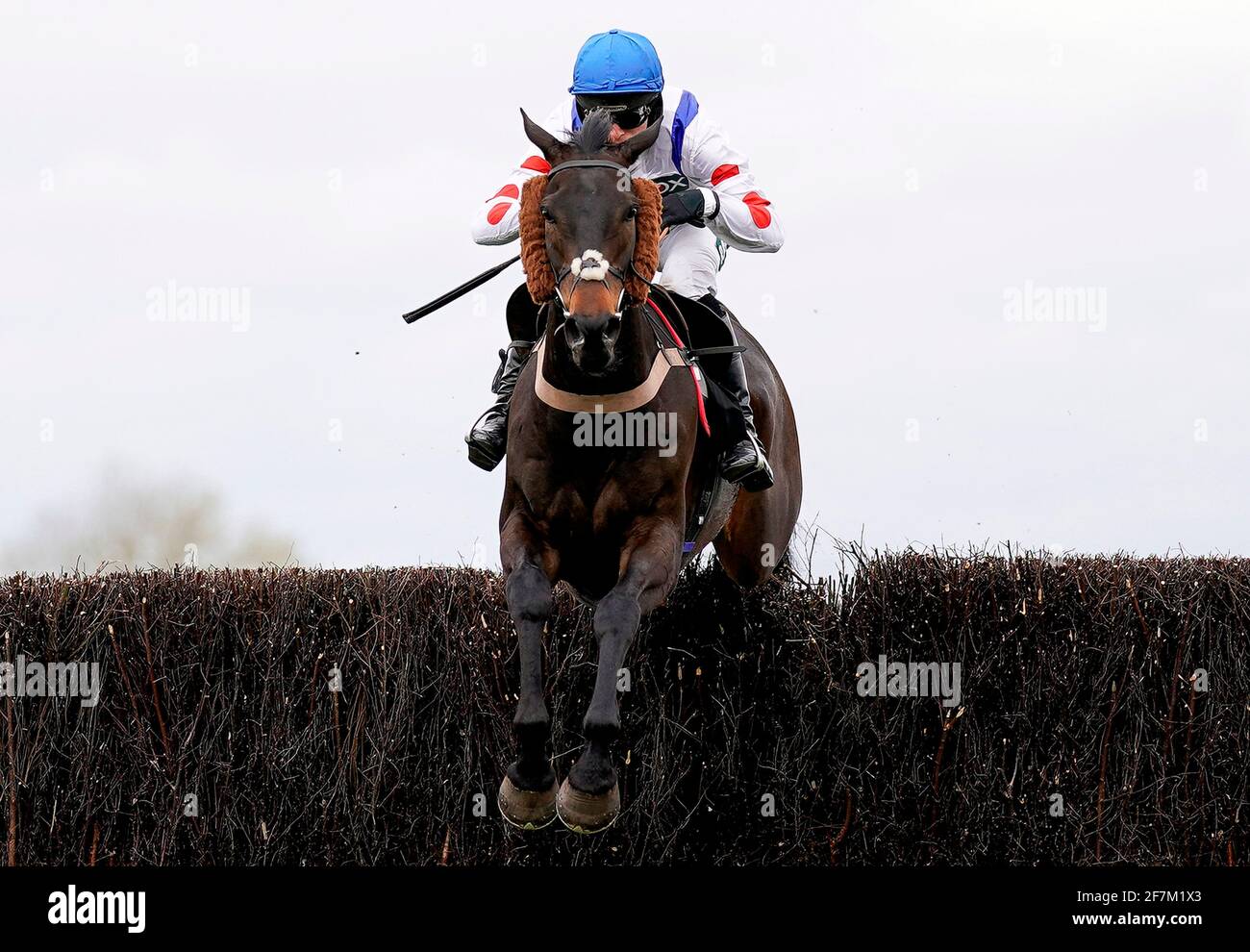 Clan Des Obeaux ridden by Harry Cobden clears the last on their way to winning the Betway Bowl Chase during Liverpool NHS Day of the 2021 Randox Health Grand National Festival at Aintree Racecourse, Liverpool. Picture date: Thursday April 8, 2021. Stock Photo