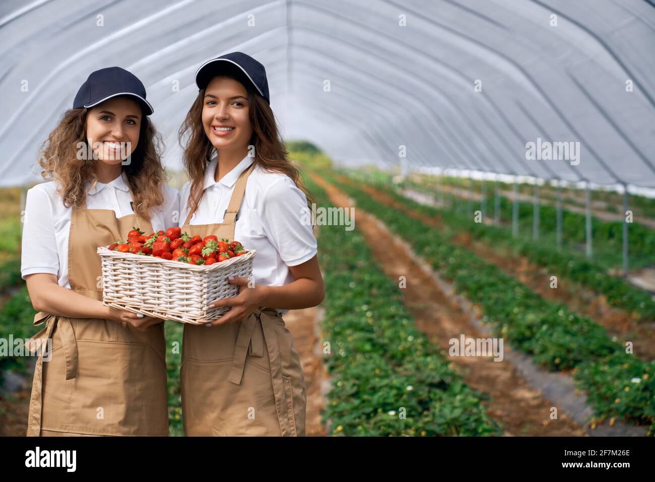 Wearing white apron aprons hi-res stock photography and images - Alamy