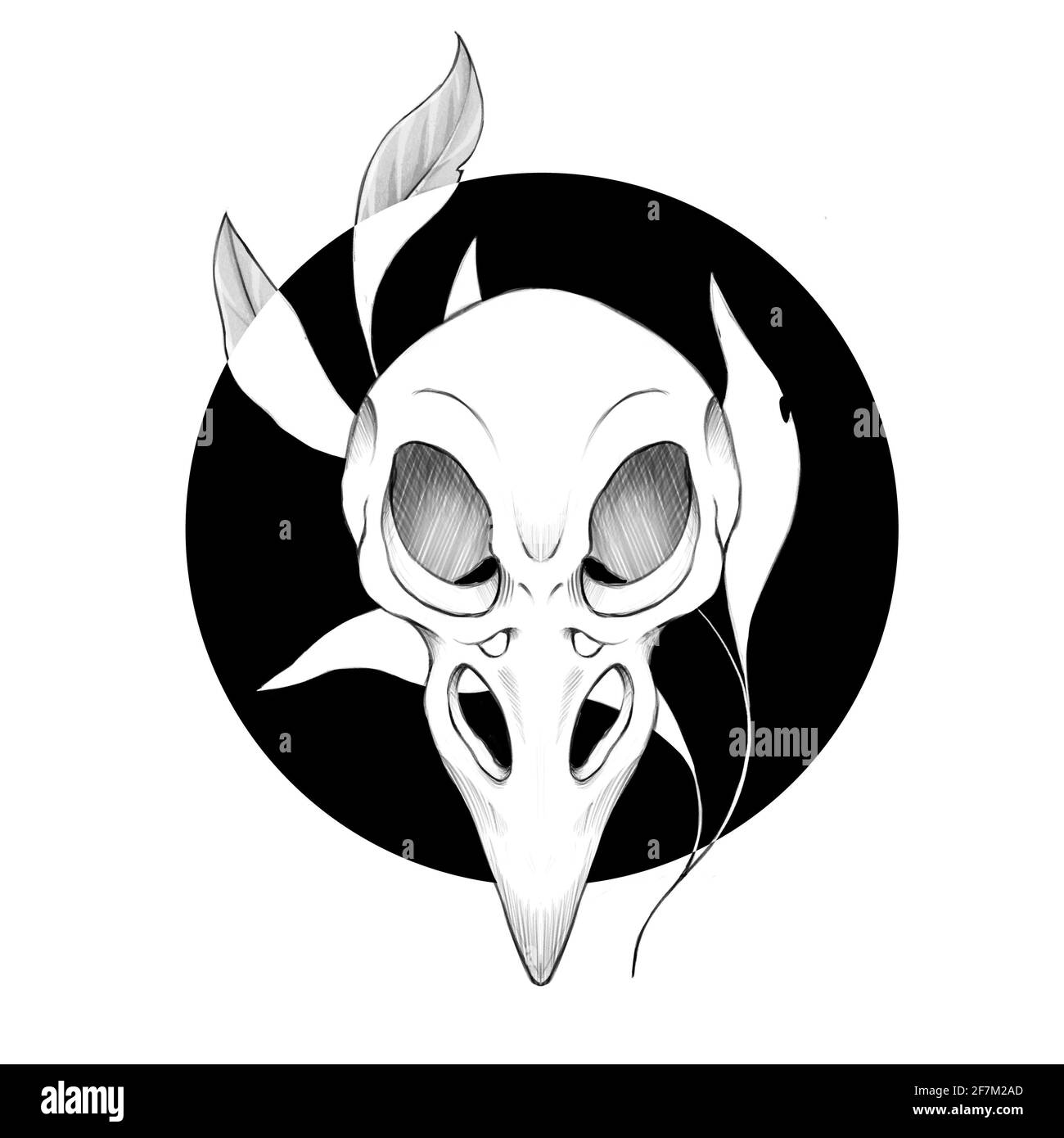Bird head drawing Black and White Stock Photos & Images - Alamy