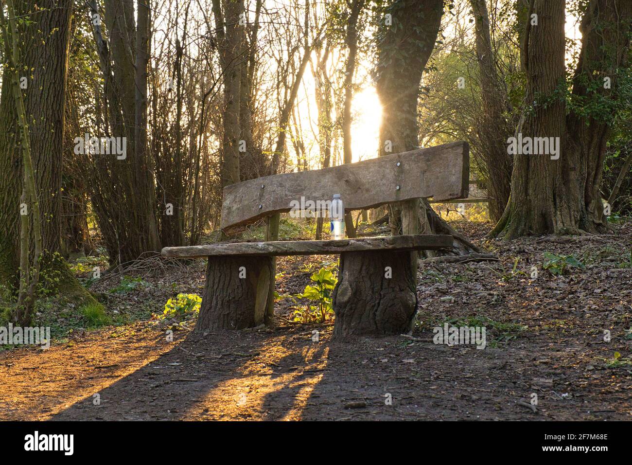 Plastic bottle left as litter on rustic park bench - sunrise at Castle Close nature reserve, Sharnbrook, Bedfordshire, England, UK Stock Photo