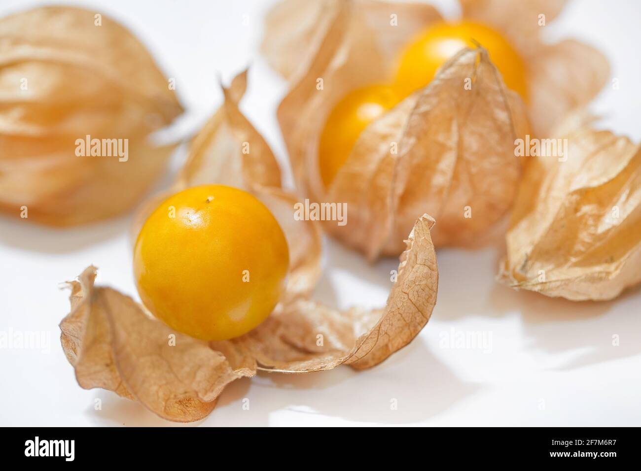 Golden Berry (Cape gooseberry) isolated on white background Stock Photo Alamy