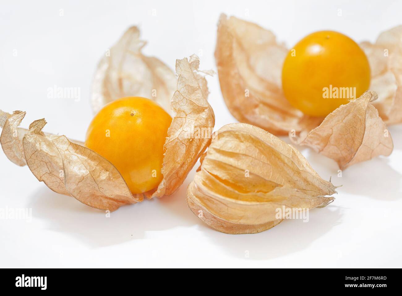 Golden Berry (Cape gooseberry) isolated on white background Stock Photo Alamy