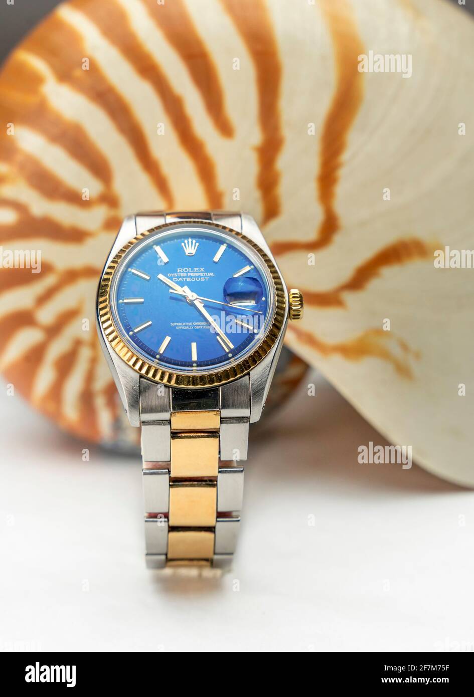 Manilla rolex new arrivals
