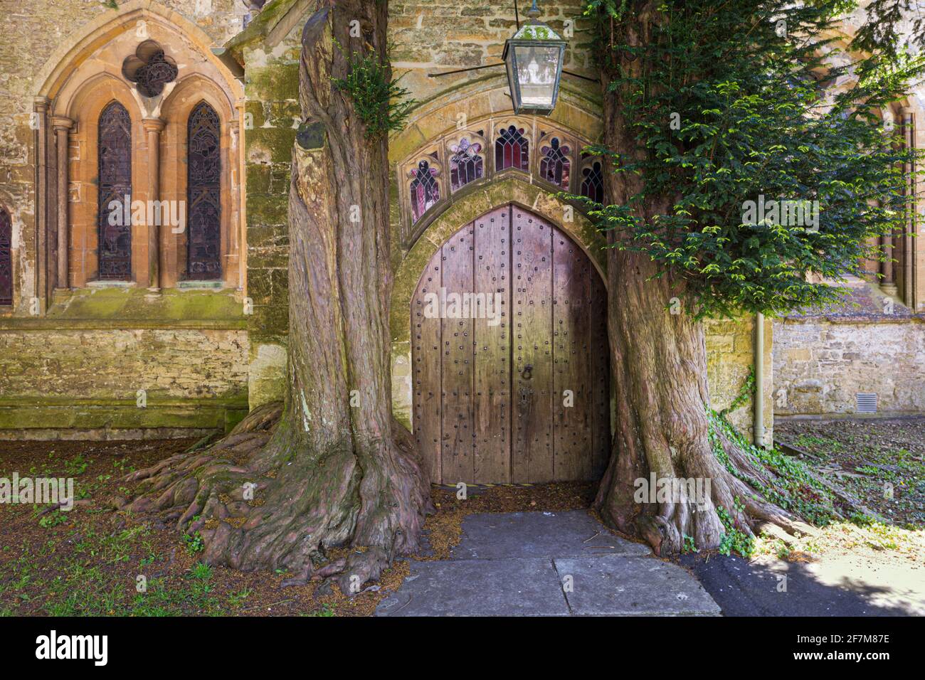 Two old yew trees growing by the north porch to St Edwards church in the Cotswold town of Stow on the Wold, Gloucestershire UK Stock Photo