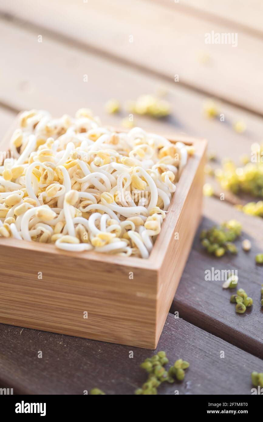 Mung bean sprouts on wooden tray Stock Photo