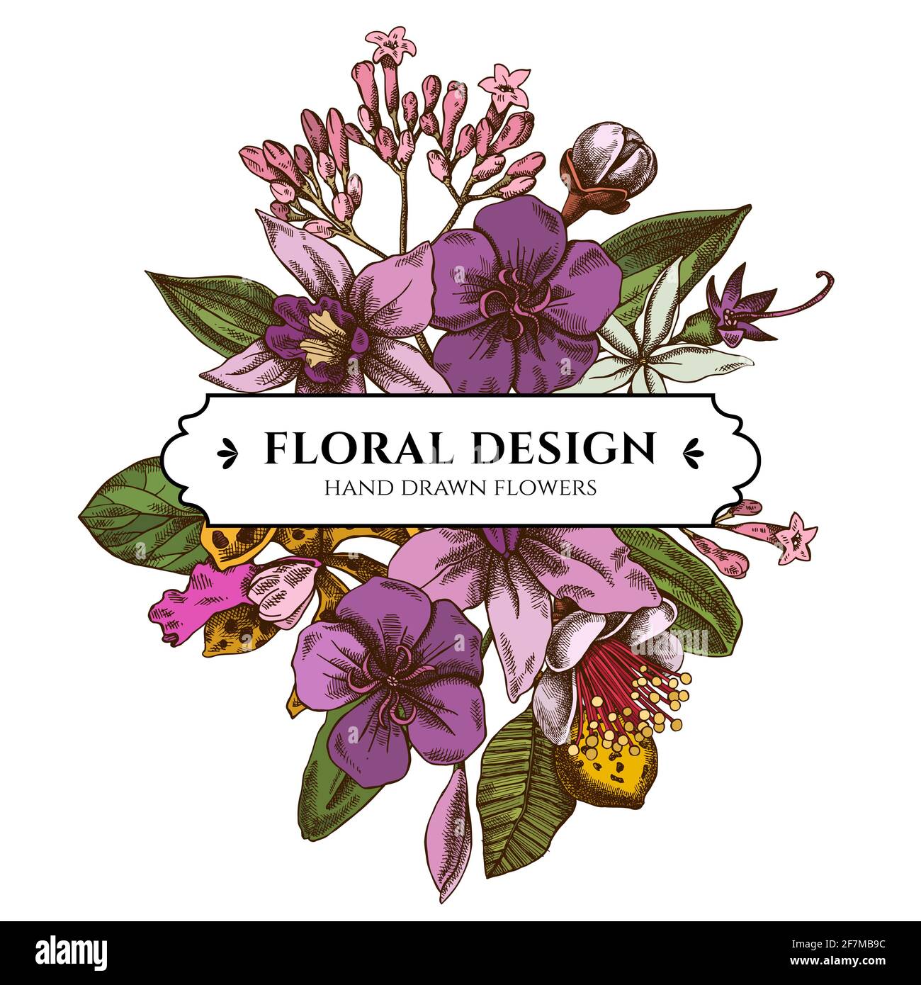 Floral bouquet design with colored laelia, feijoa flowers, glory bush, papilio torquatus, cinchona, cattleya aclandiae Stock Vector