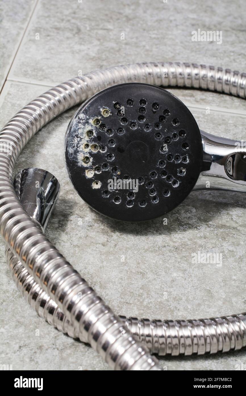 Simple shower head  with limescale Stock Photo