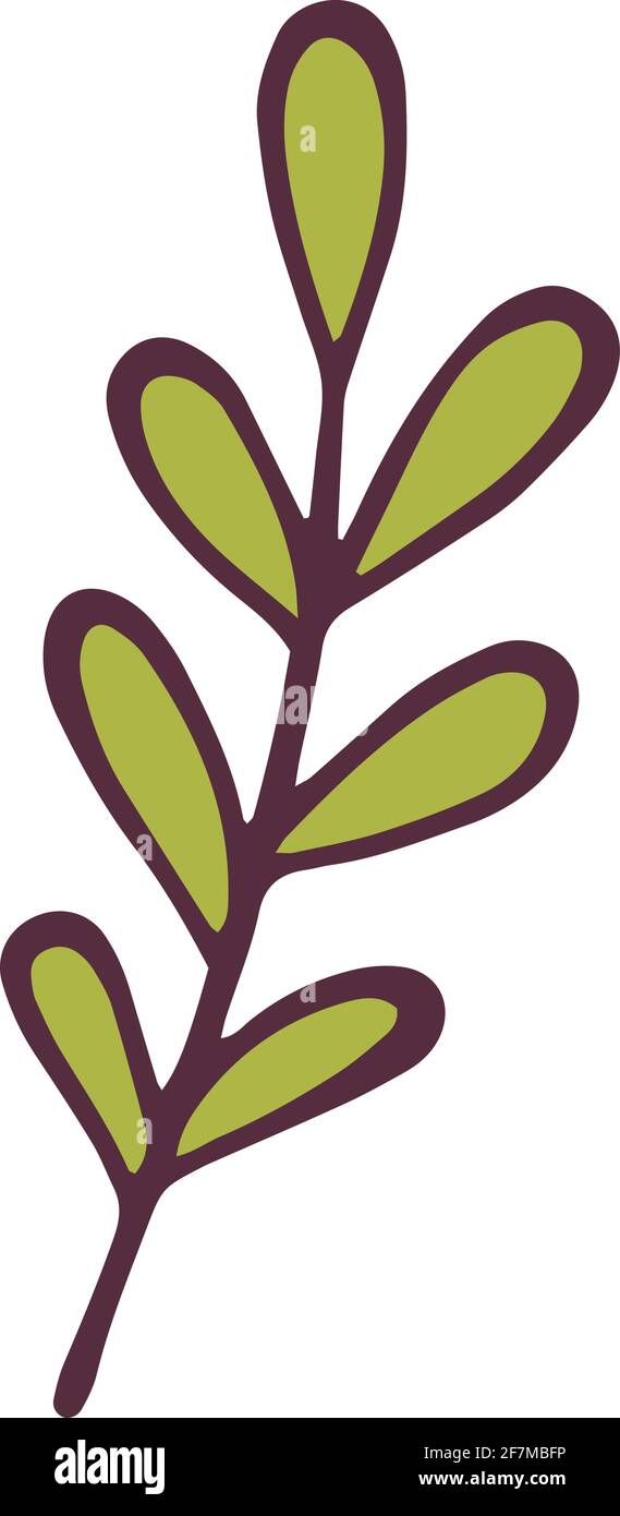 Green leaf branch icon, hand drawn and outline style Stock Vector Image ...
