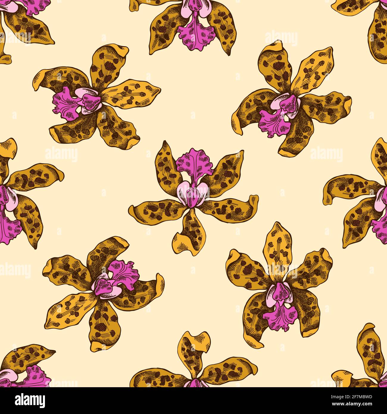 Seamless pattern with hand drawn colored cattleya aclandiae Stock Vector