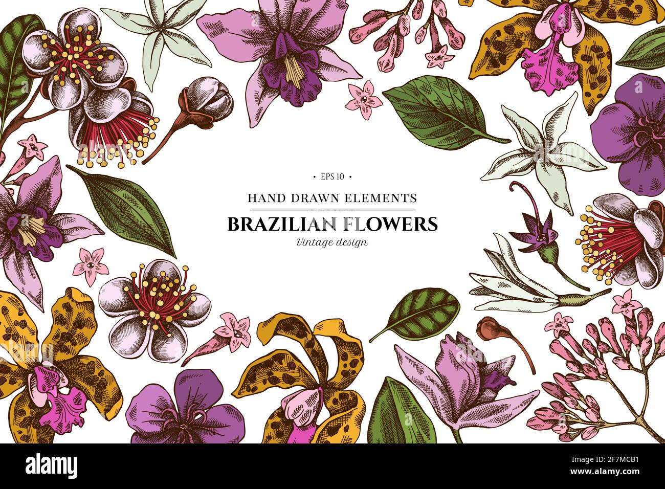 Floral design with colored laelia, feijoa flowers, glory bush, papilio torquatus, cinchona, cattleya aclandiae Stock Vector
