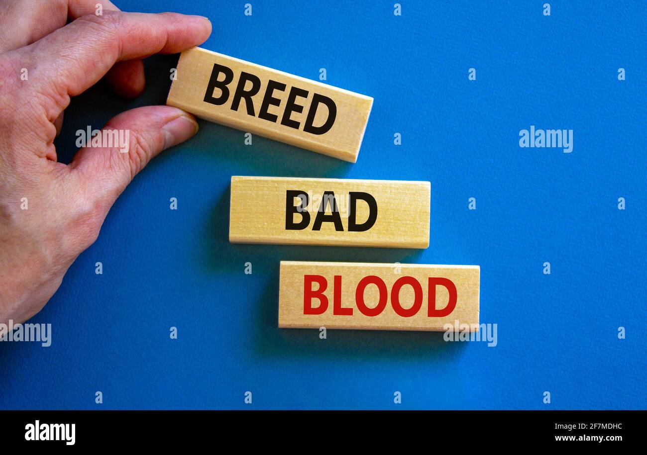 Breed bad blood symbol. Businessman holds wooden block with words