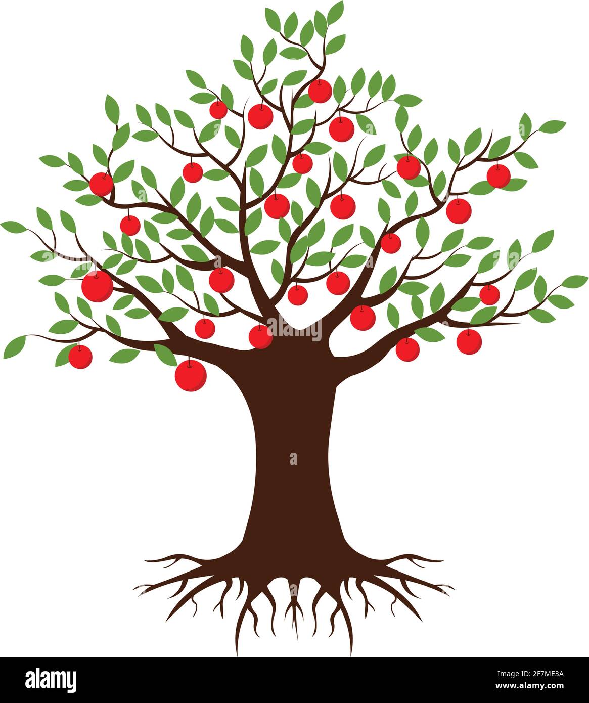 Apple Tree Vecor Fruit Tree Illustration Isolated On White Background Stock Vector Image Art Alamy