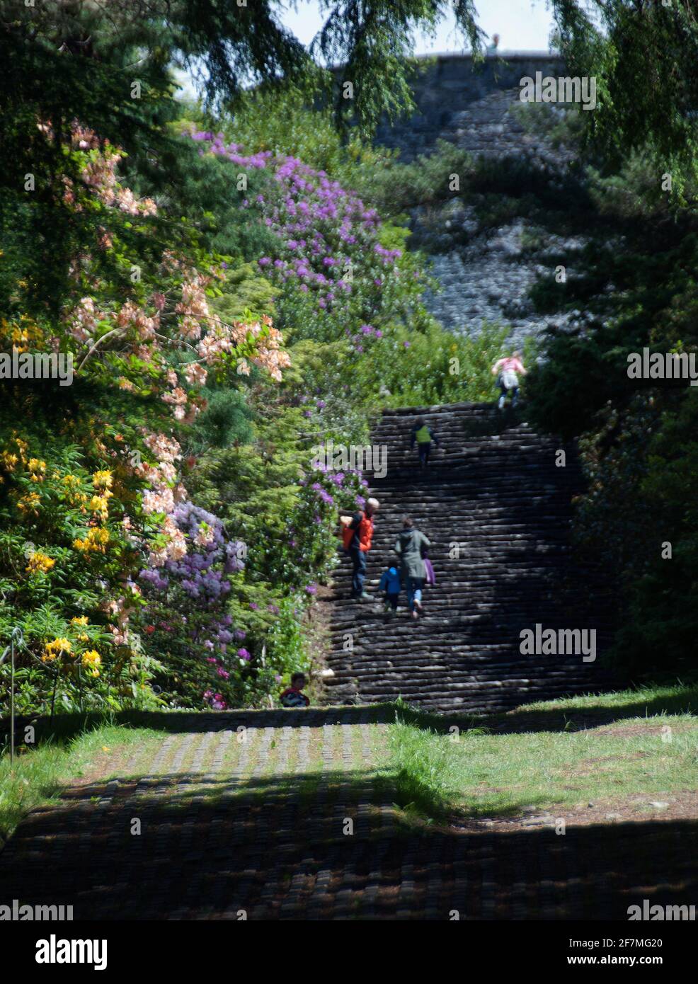 'Stairway to Heaven': stone steps in Ilnacullin (Garinish Island) Garden Stock Photo
