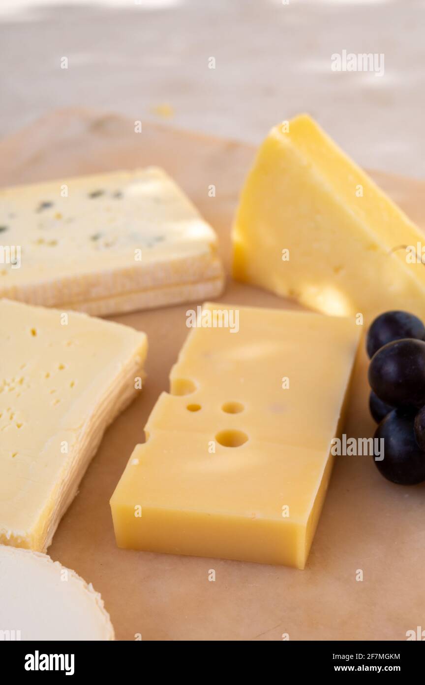 French cheese collection on marble board, emmental, carre de aurillac, petit cantal AOP Jeune, buche chevre and brie Stock Photo