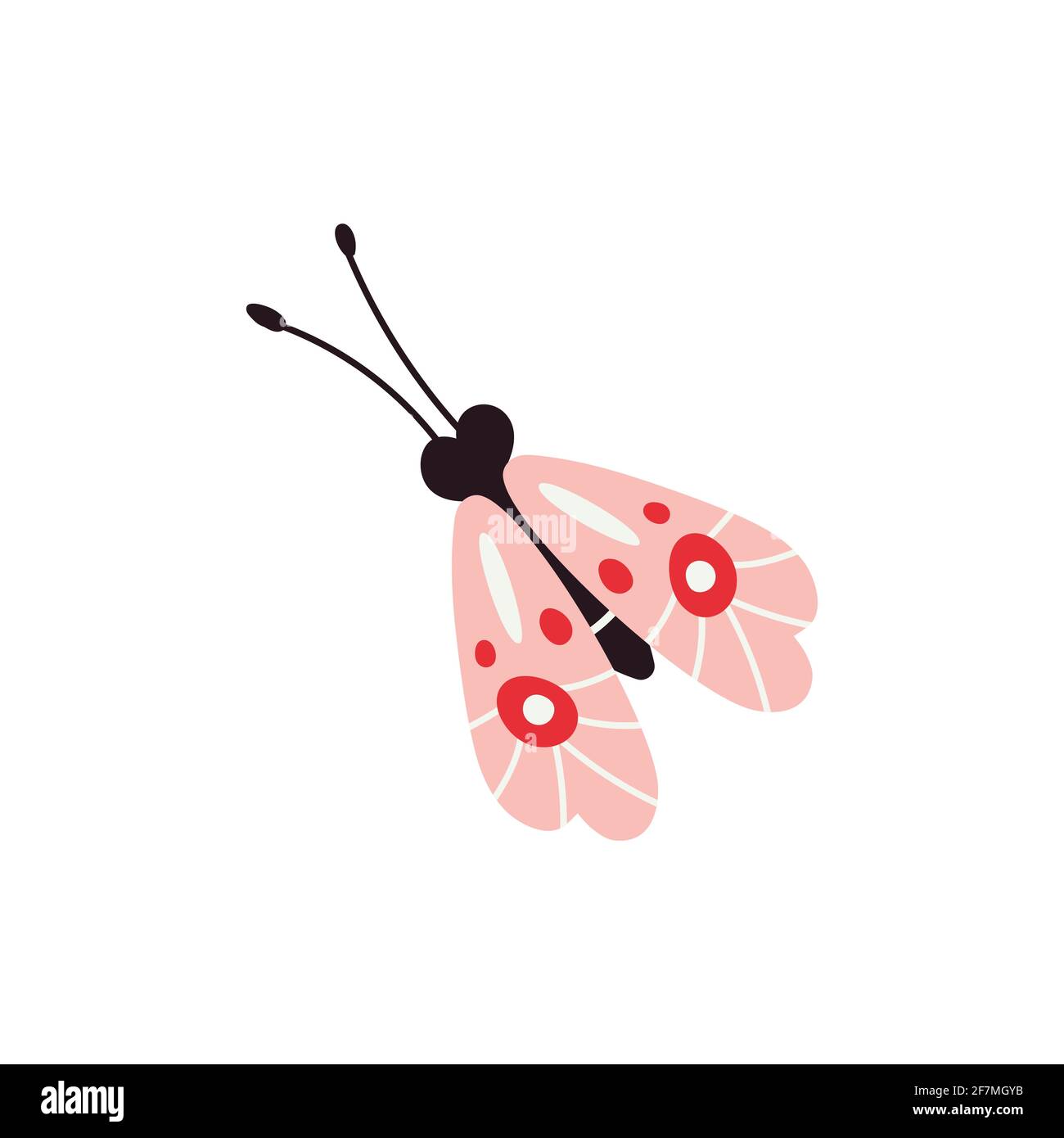 Butterfly, vector illustration isolated on white background. Stock Vector