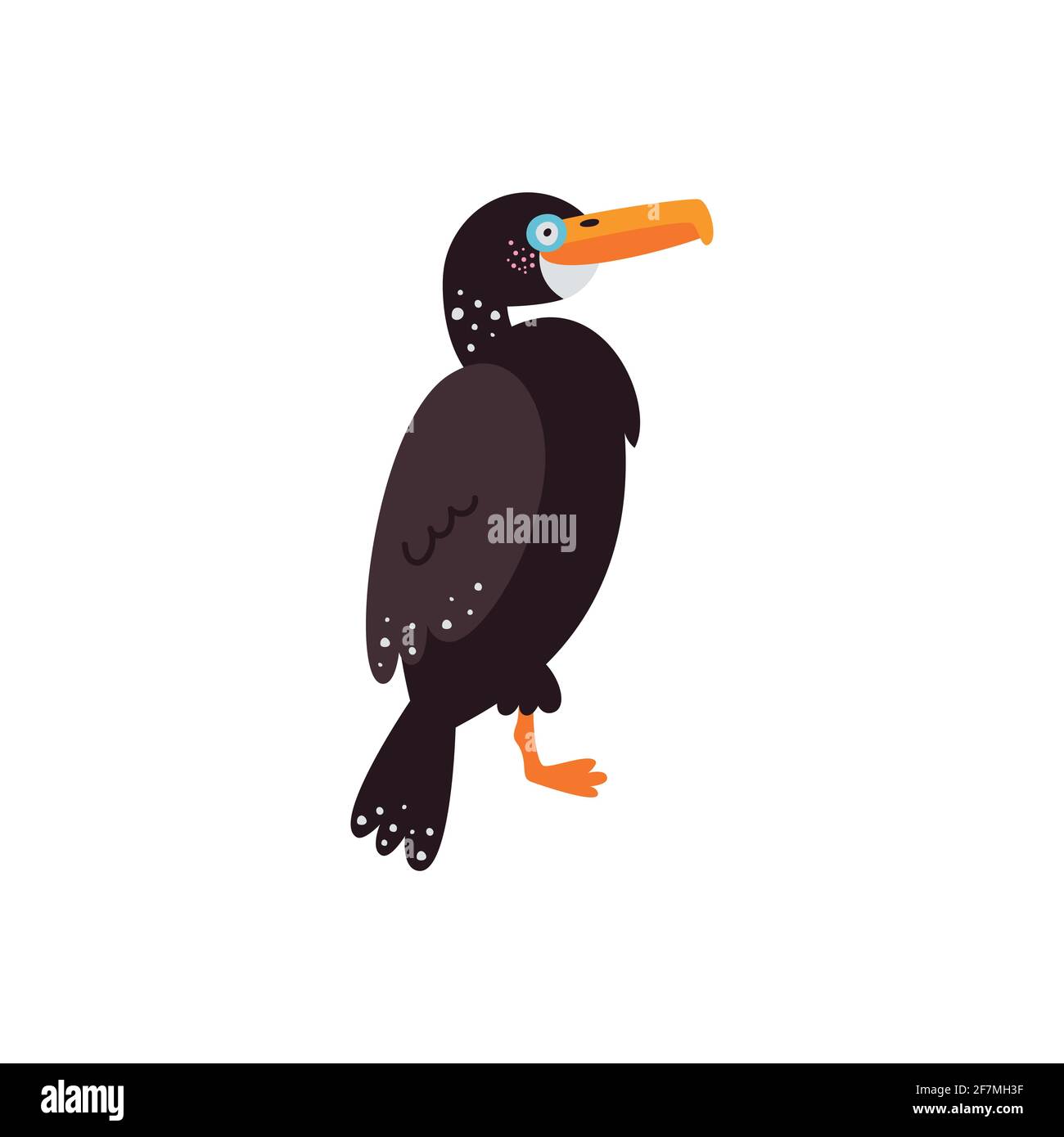 Vector illustration on white background, cormorant bird Stock Vector
