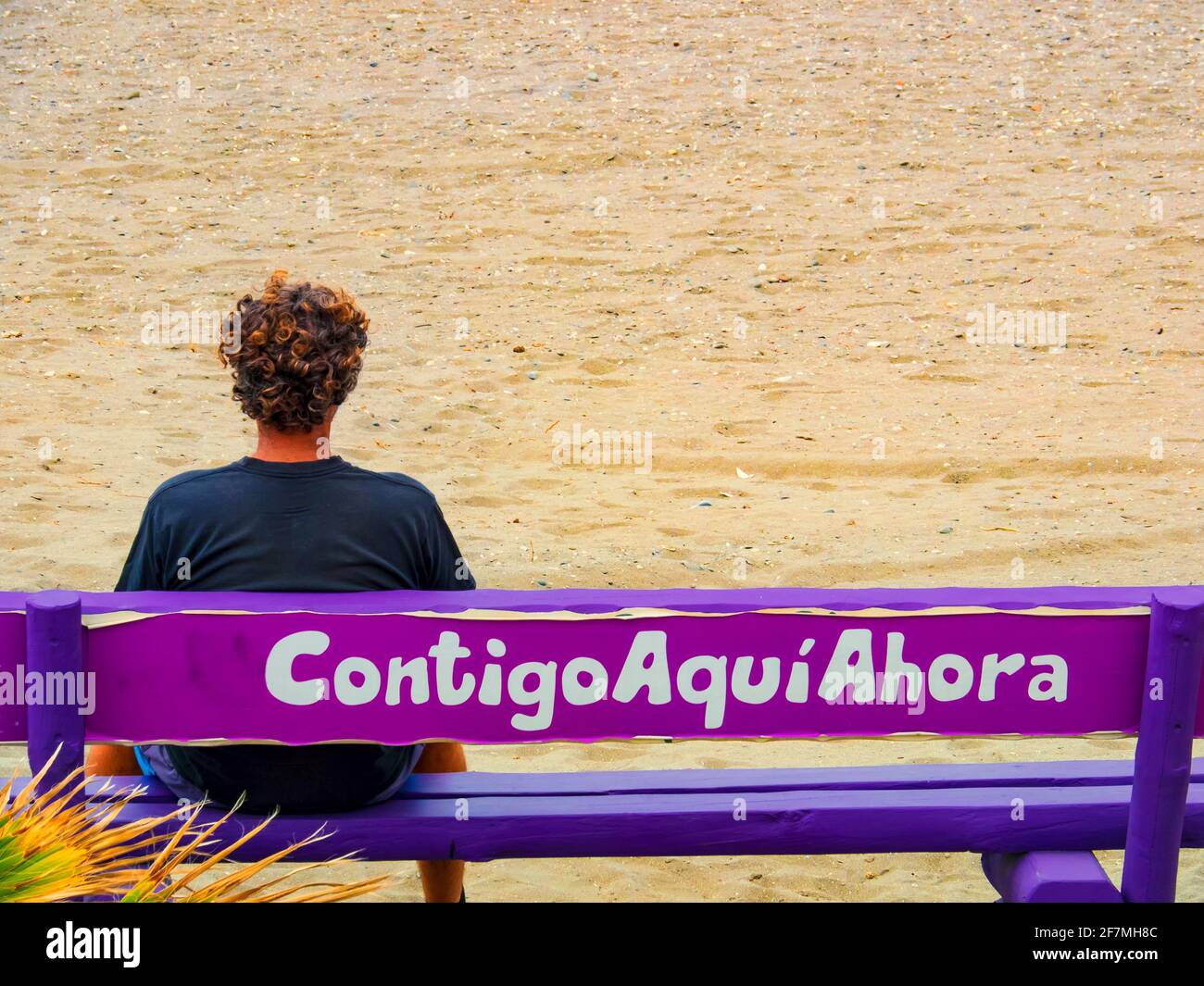 A young man sitting on a wooden bench in front of the beach, which has written on it the sentence : 'With you here now'. Stock Photo