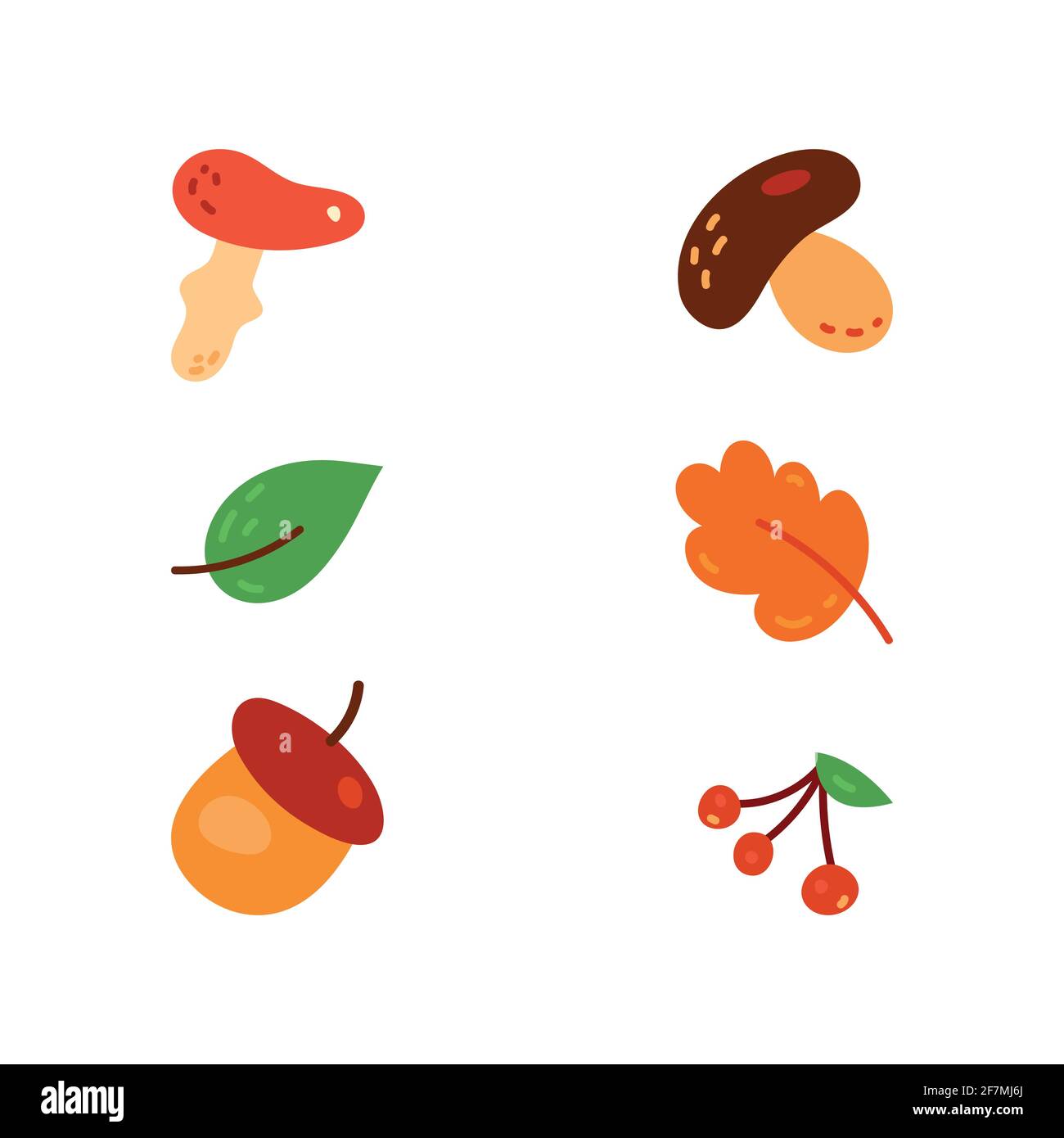 Different types of mushrooms set, vector illustration. Stock Vector