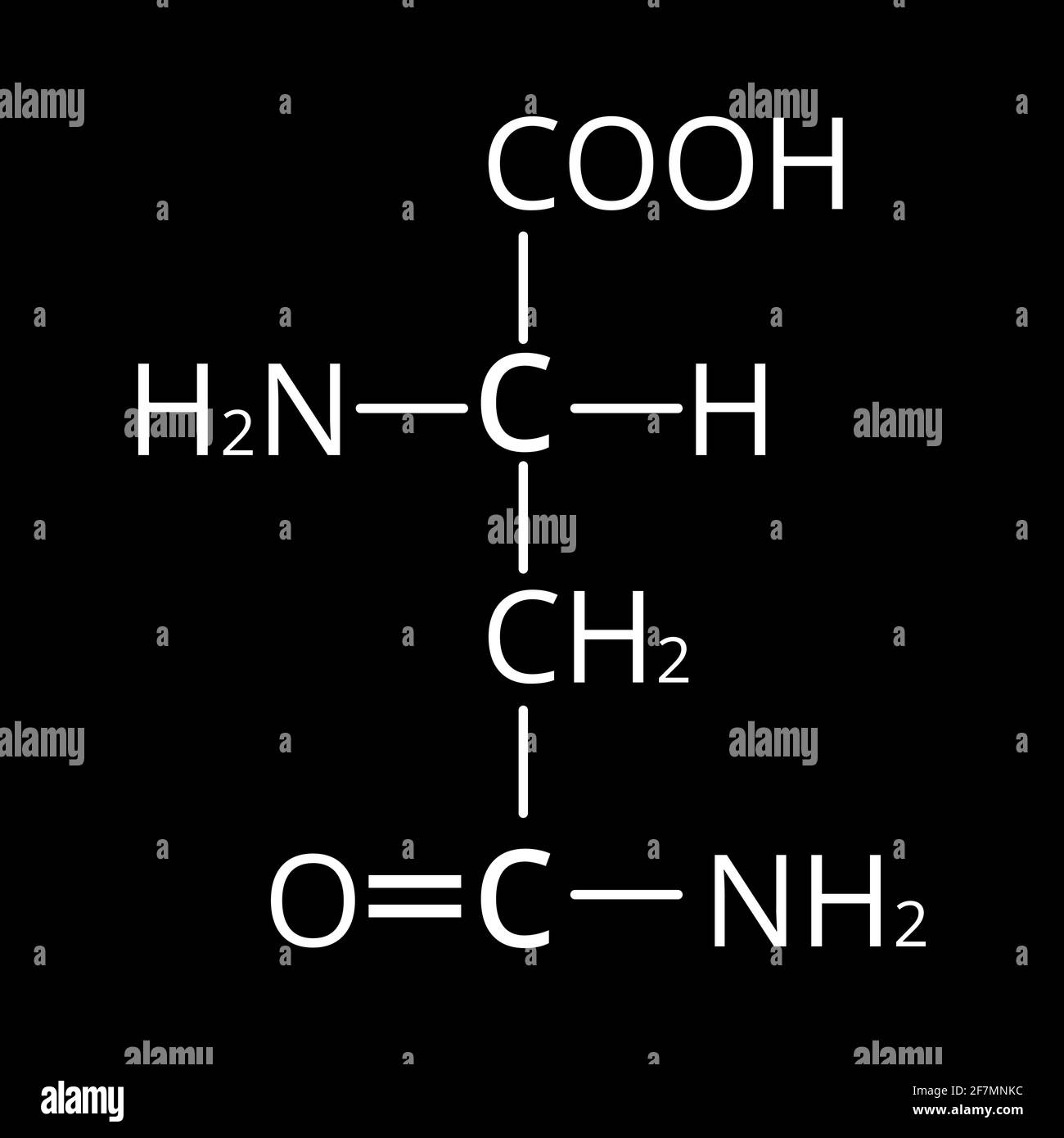 Asparagine is an amino acid. Chemical molecular formula Asparagine is amino acid. Vector illustration on isolated background Stock Vector