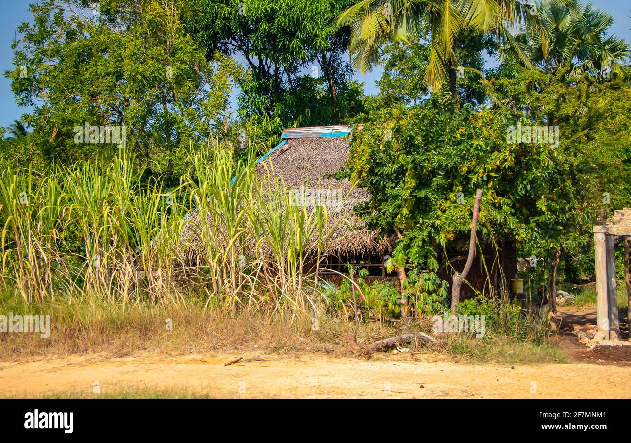 Typical stone houses in an African village on the road to Mombasa. It is a small village in Kenya. Stock Photo