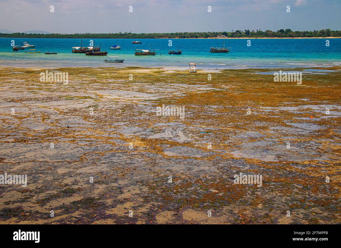 Big low tide on Wasini island in Kenya, Africa. The sea is far from the shore. Stock Photo