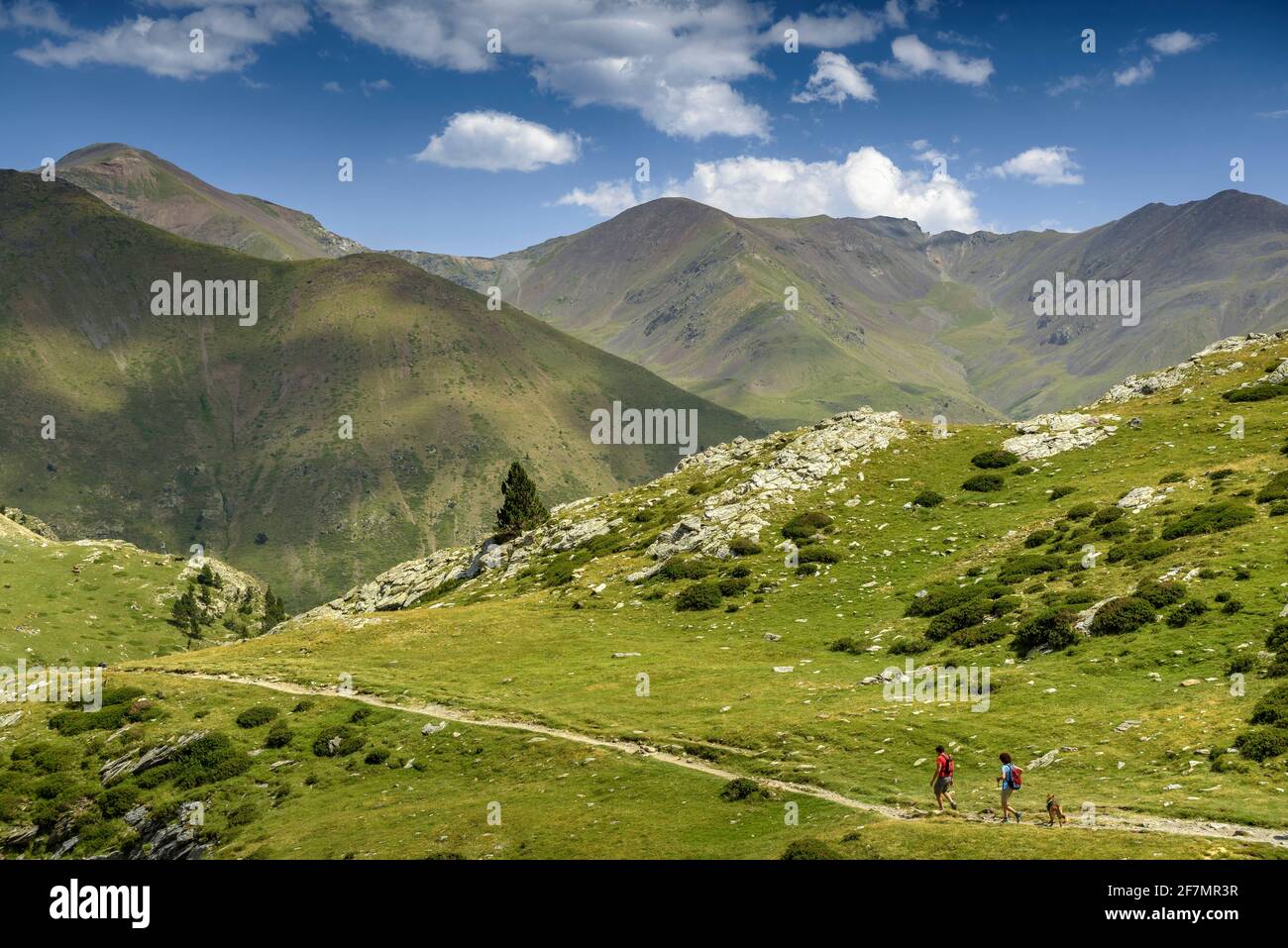 Mountain path between Puigmal and the Núria Sanctuary, in the Pyrenees Orientales (Ripollès, Catalonia, Spain) Stock Photo