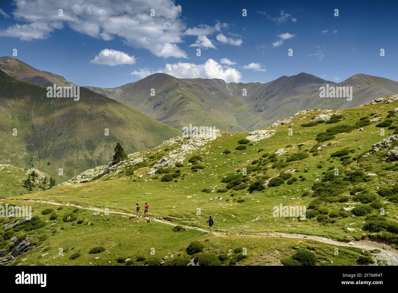 Mountain path between Puigmal and the Núria Sanctuary, in the Pyrenees Orientales (Ripollès, Catalonia, Spain) Stock Photo