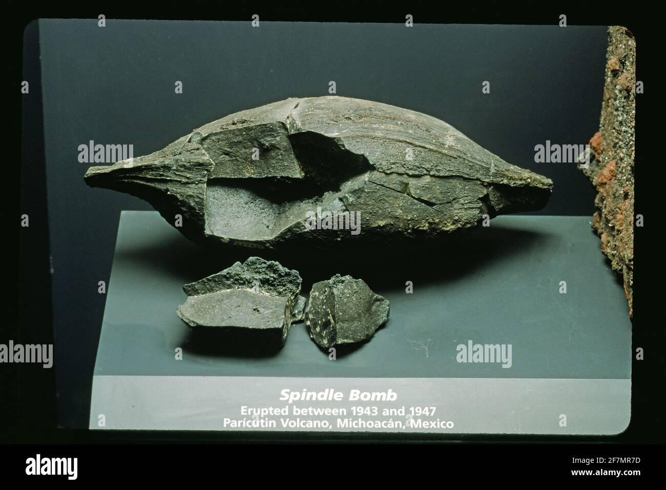 Volcanic bomb or spindle bomb from Paricutin Volcano eruption (1943 to 1947), Michoacan, Mexico Stock Photo