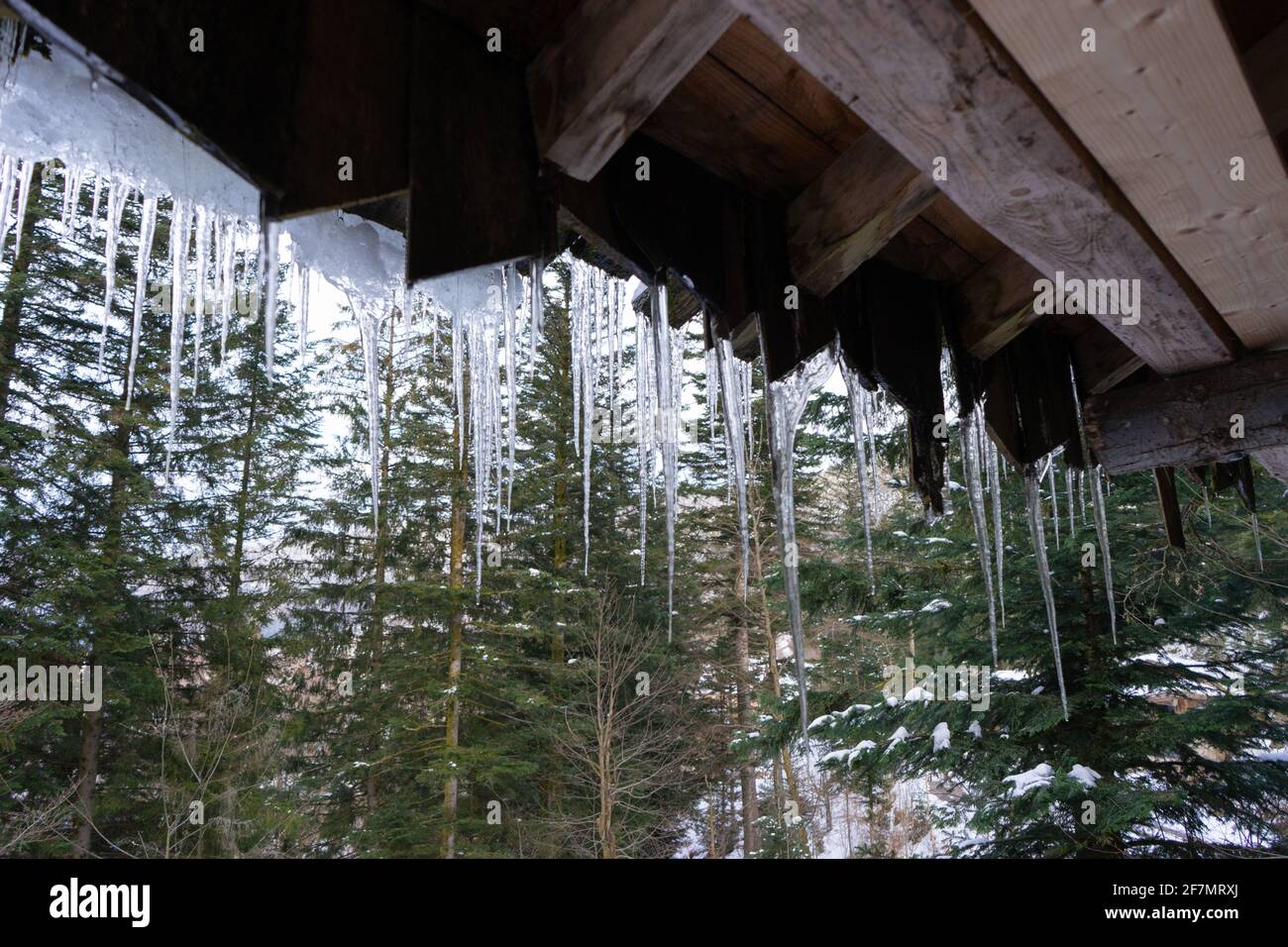 Stalagtites hanging from the roof of a cottage. Stock Photo