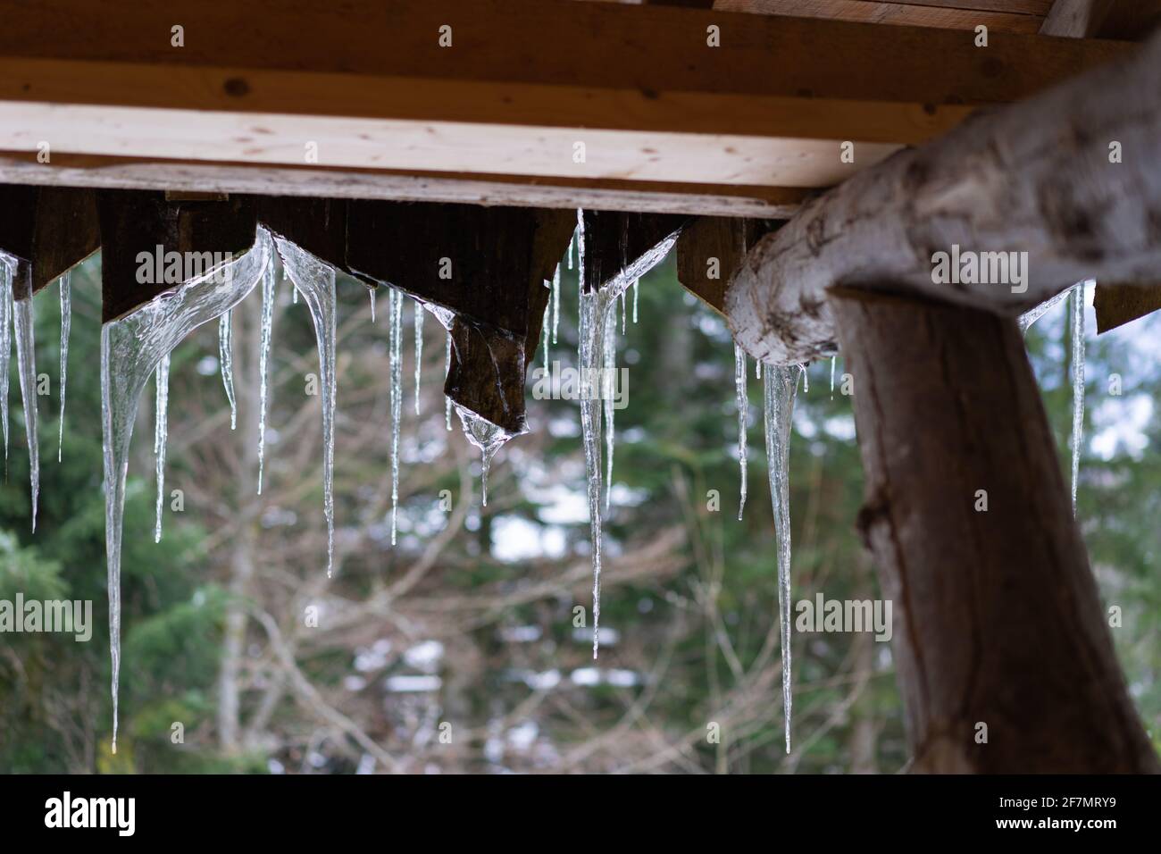 Stalagtites hanging from the roof of a cottage. Stock Photo