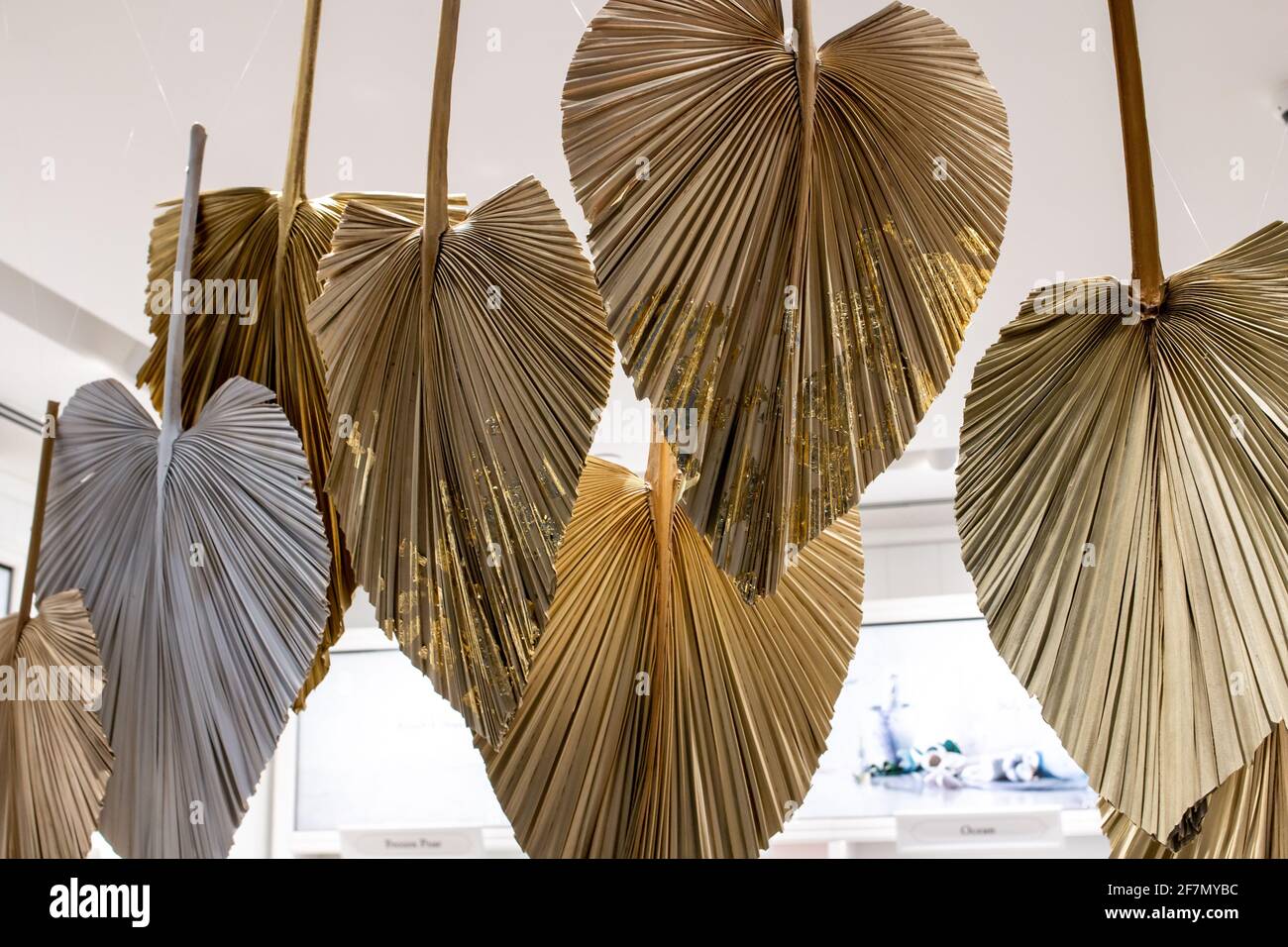A collection of painted gold palm leaves covered in flaking gold leaf hang down from the ceiling of a boutique in a shopping mall in London, Canada. Stock Photo