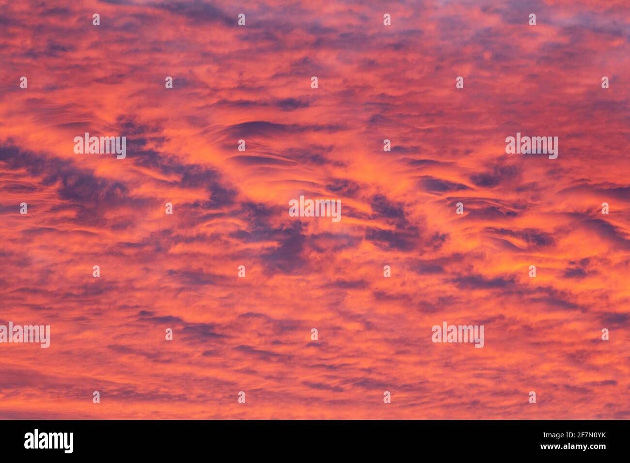 Orange underlit clouds at sunrise Stock Photo