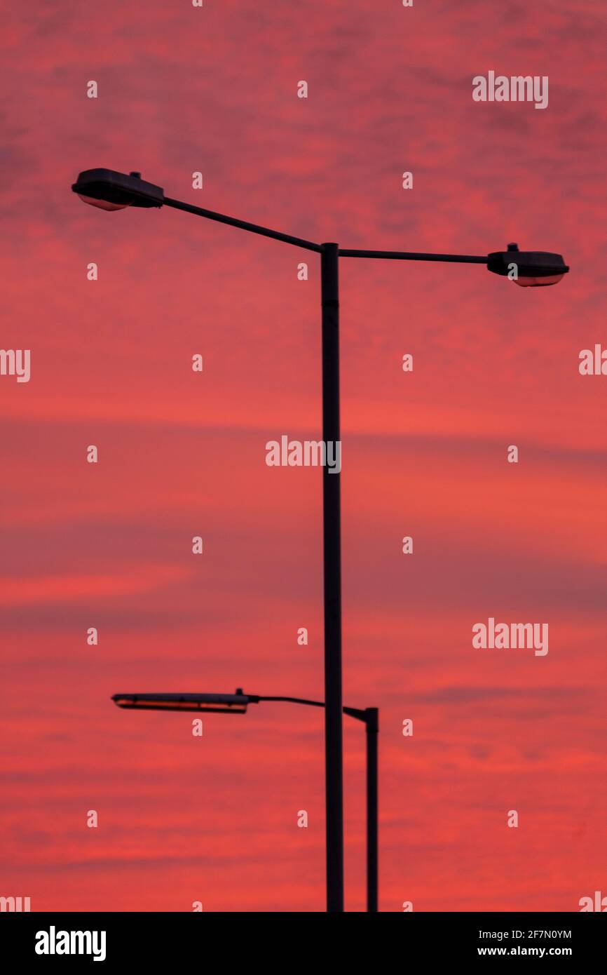 Streetlights in silhouette against a glowing pink sky Stock Photo
