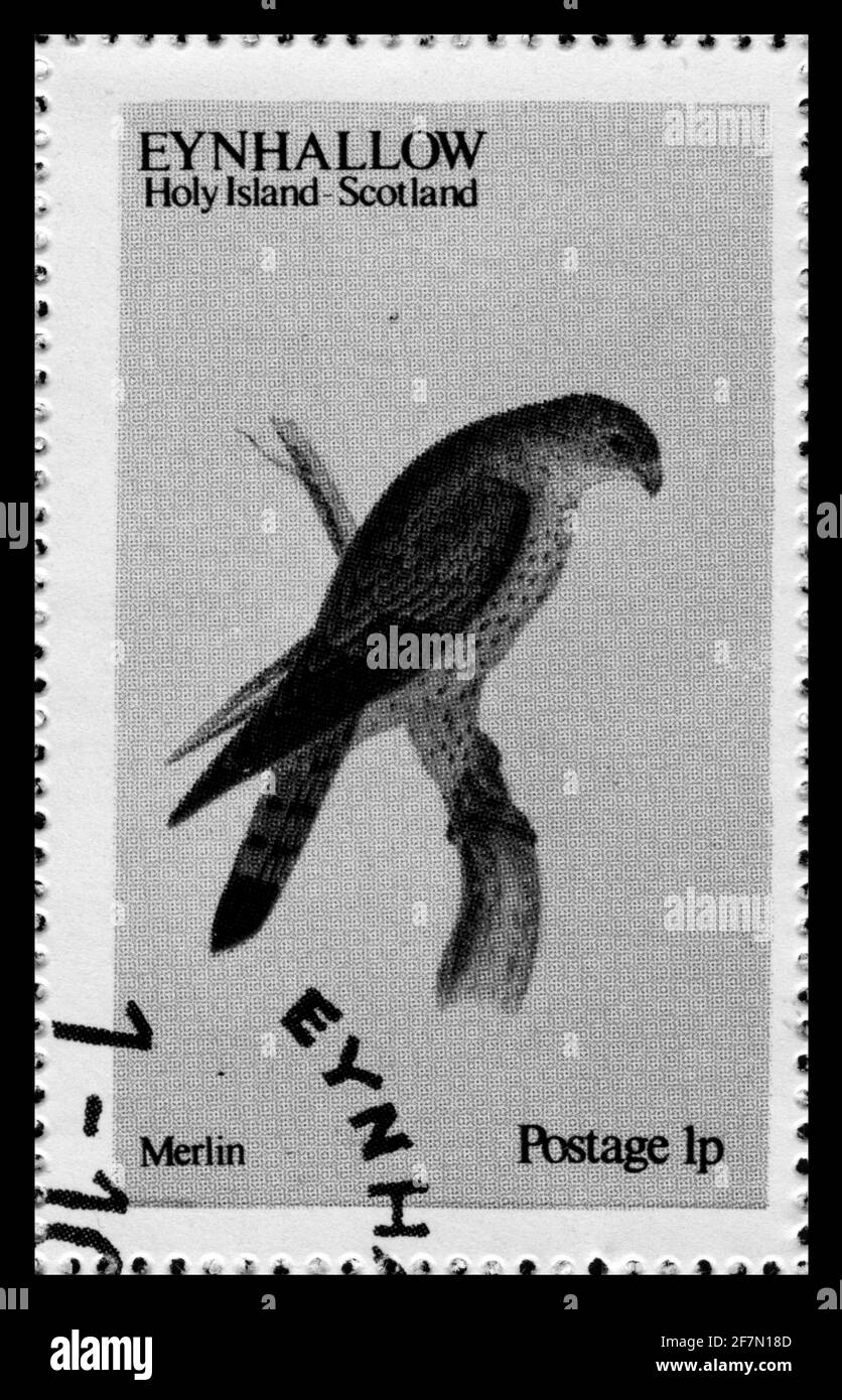 Stamp print in Eynhallow,birds Stock Photo