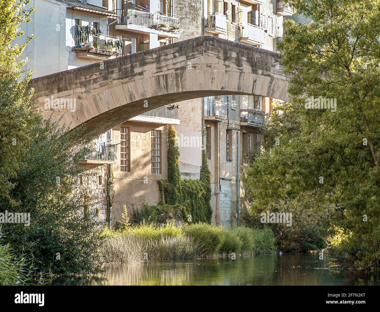 The medieval bridge Puente Carcel with houses in the background, Estella, Spain, October 17, 2009 Stock Photo