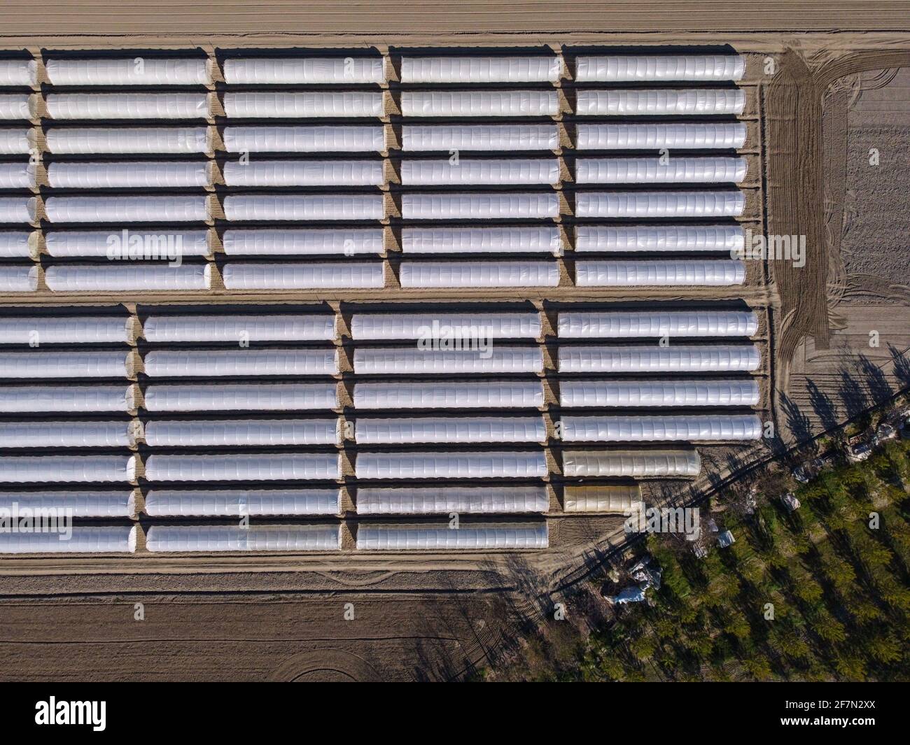 Intensive farming, aerial view of greenhouse fields Stock Photo