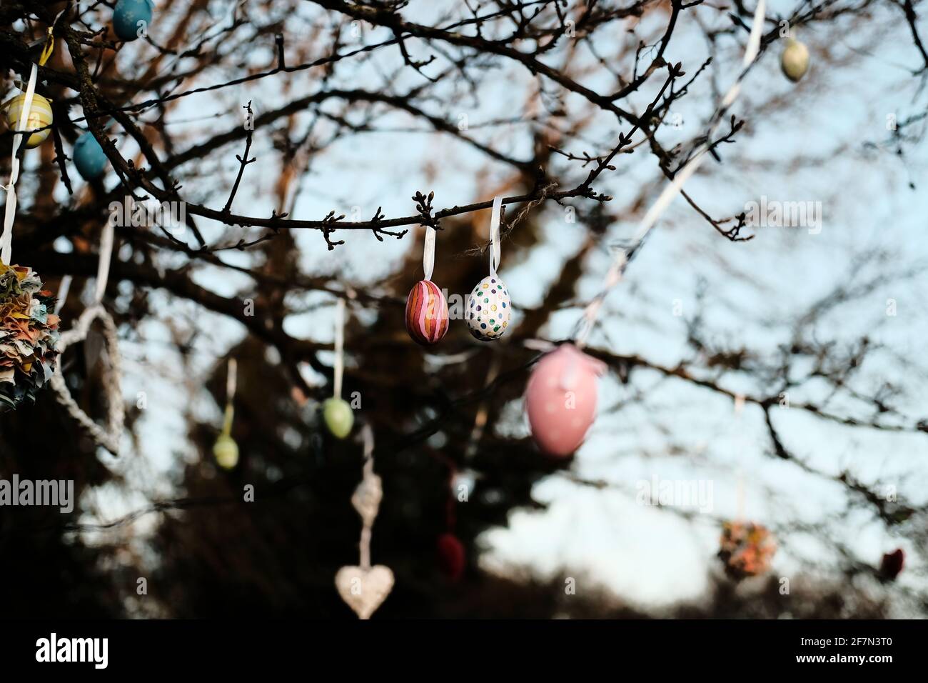 Home decorated Easter eggs hanging in a tree Stock Photo