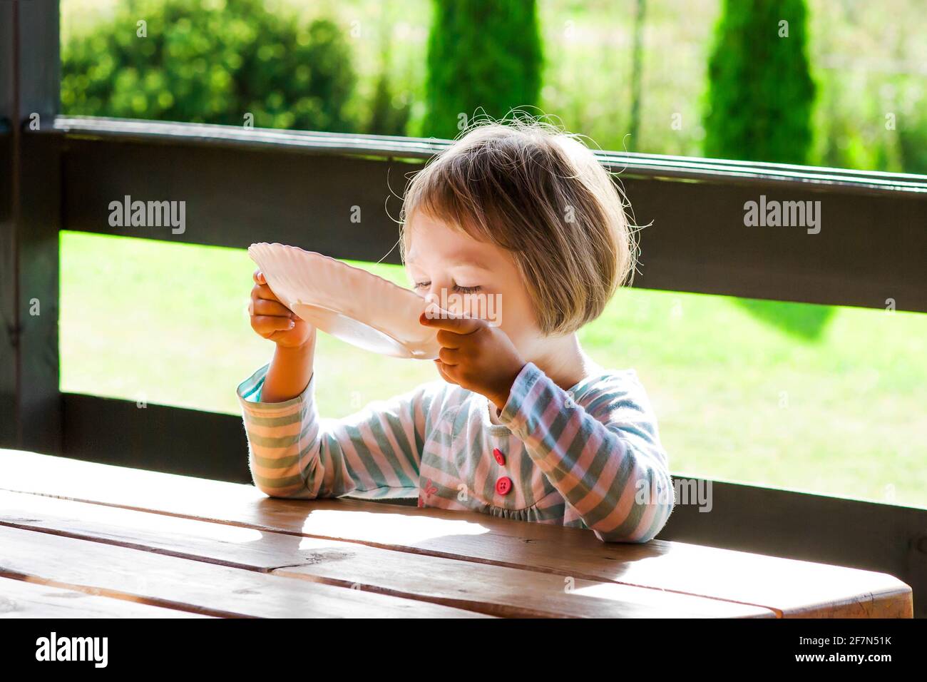 Little girl  lapping her milk soup directly from plate , sunny outdoors. Stock Photo