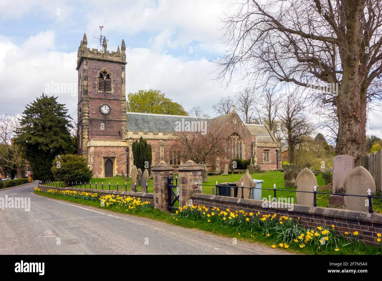 St Leonard's Church and churchyard  in the village of Warmingham near Crewe Cheshire  in the springtime with daffodills Stock Photo