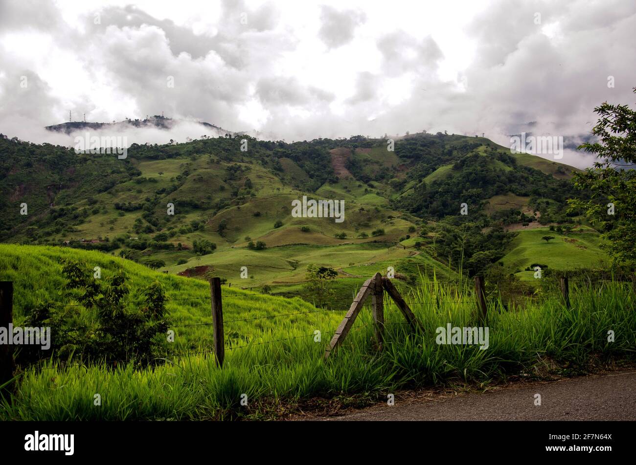 Arboles de colombia hi-res stock photography and images - Alamy