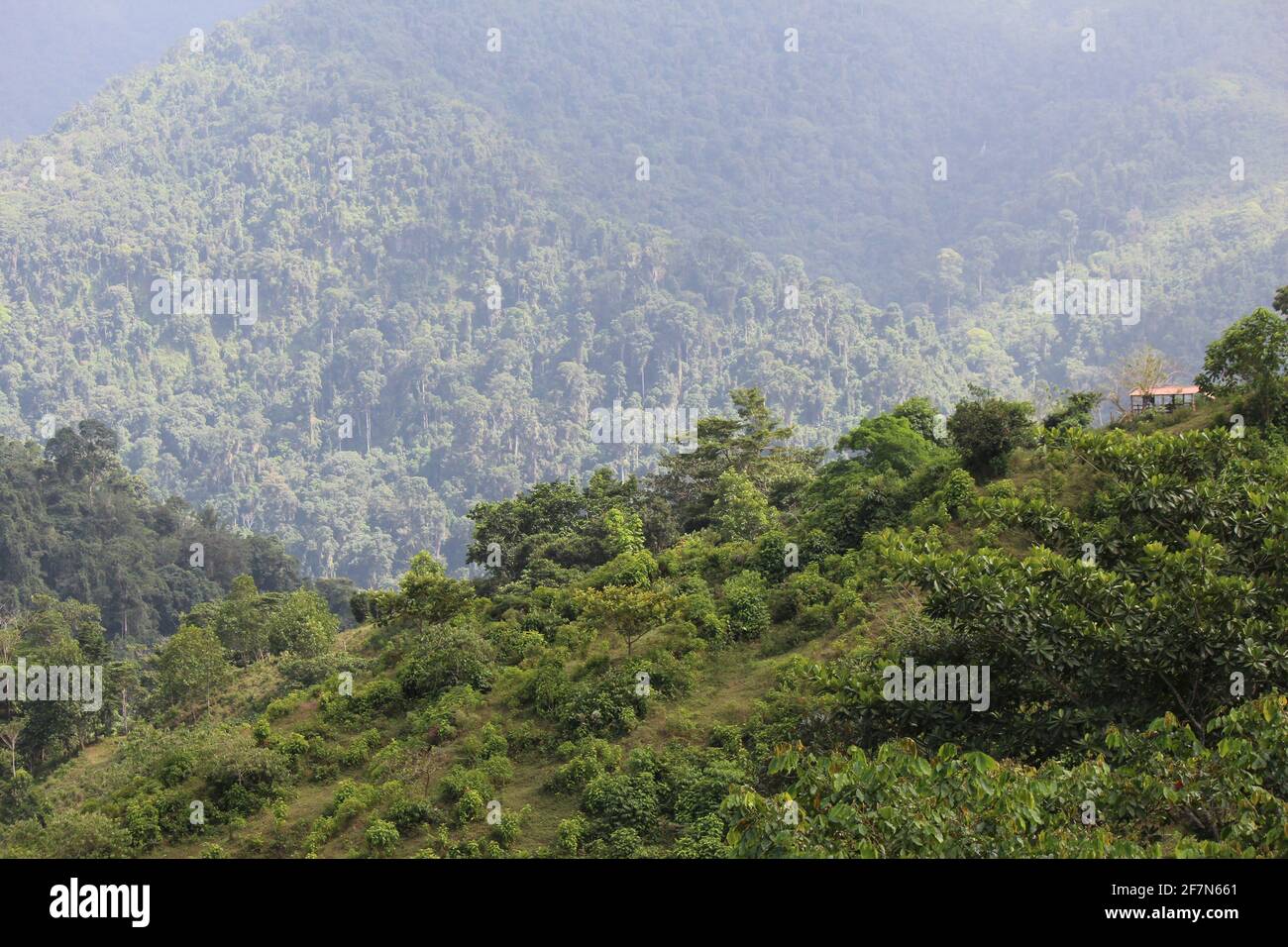 Montanas en colombia hi-res stock photography and images - Alamy
