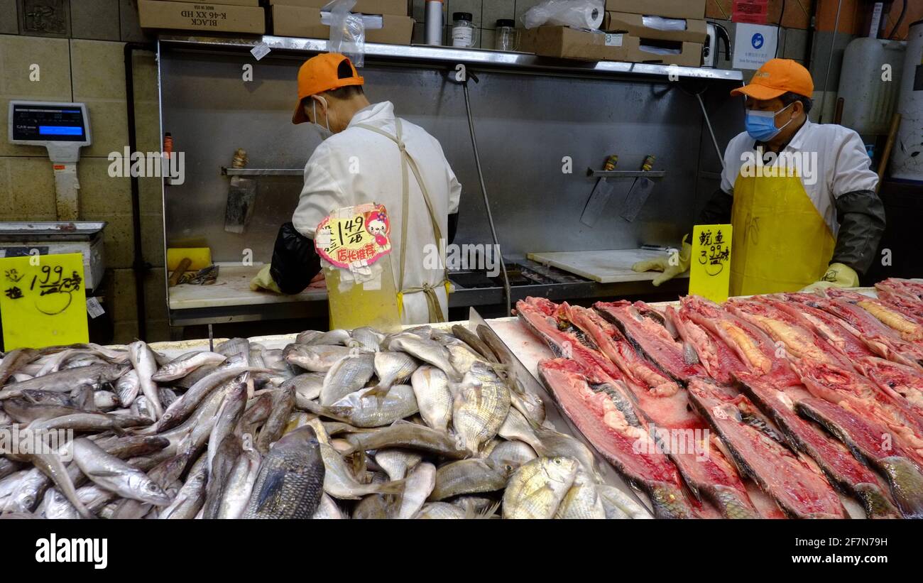 Chinatown, New York City, fish store, fish on display Stock Photo Alamy