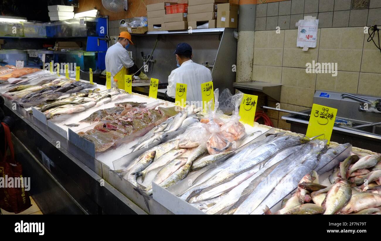 Chinatown, New York City, fish store, fish on display Stock Photo Alamy