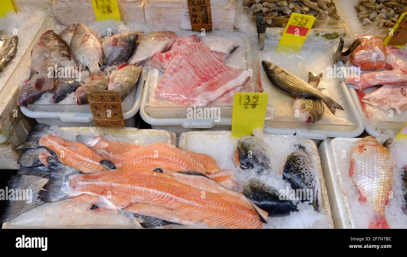 Chinatown, New York City, fish store, fish on display Stock Photo Alamy