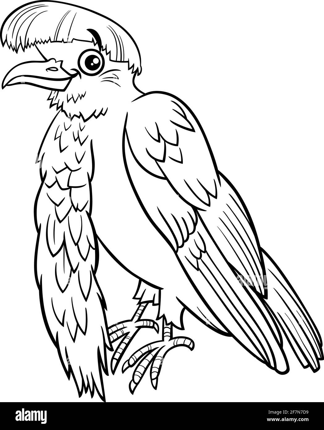 Black and white cartoon illustration of umbrellabird animal character