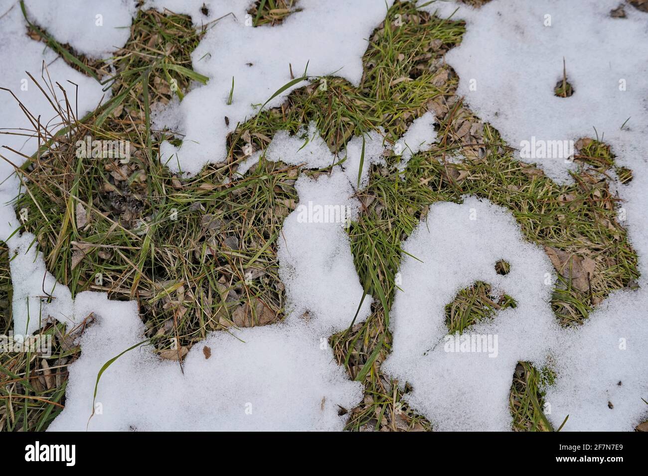 First person top view hi-res stock photography and images - Alamy
