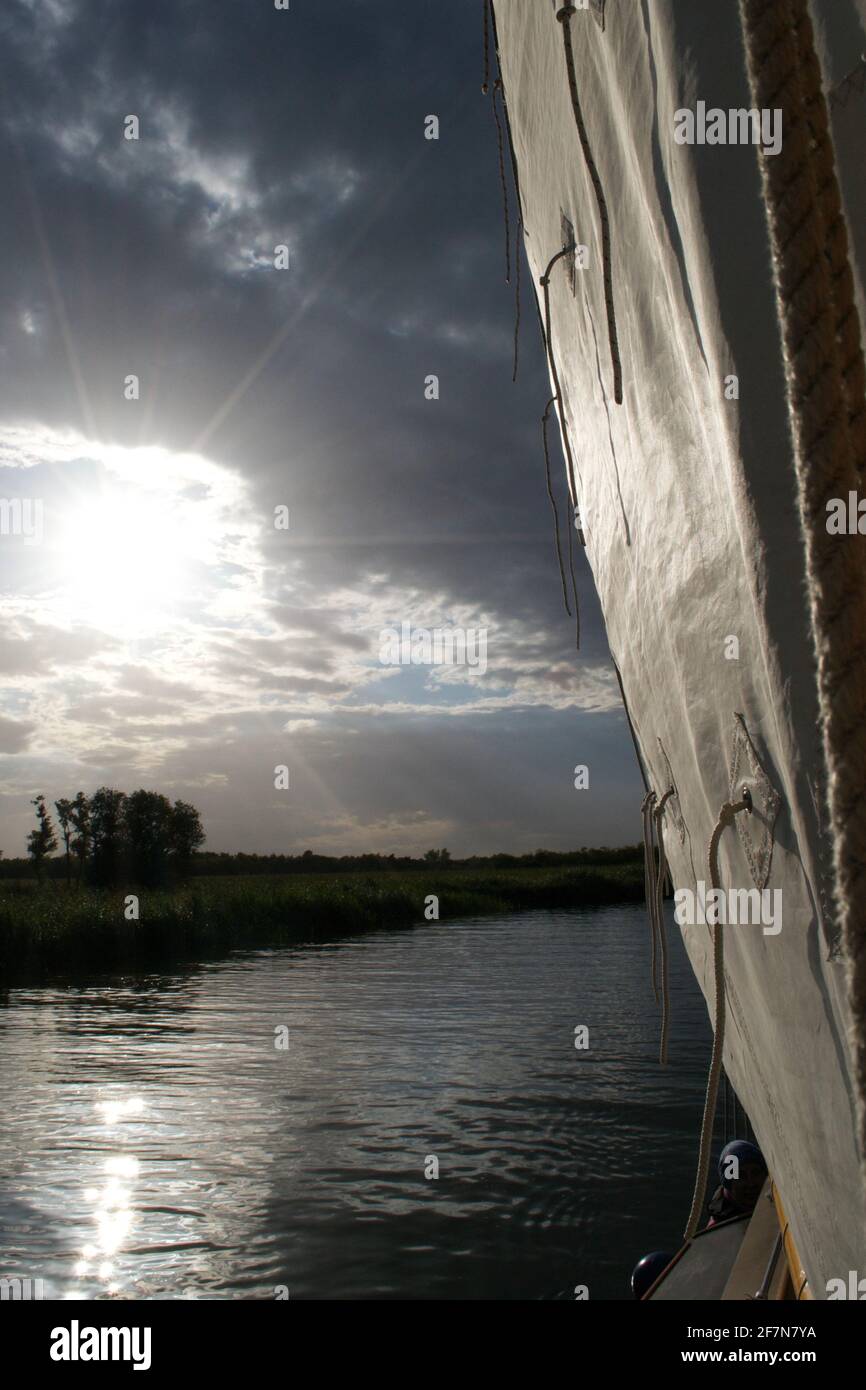 Low, bright evening sun over silhouetted trees on the bank of a river or lake, lighting the cream sail of a yacht: reef points, rigging ties and ropes Stock Photo