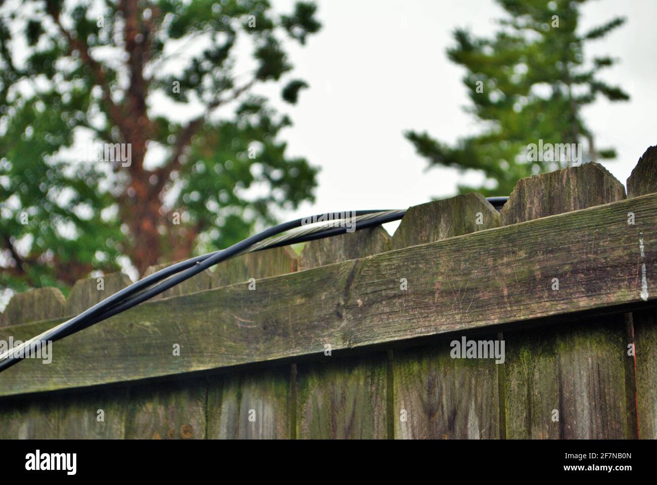 Dangerous live downed power line draped across fence Stock Photo Alamy