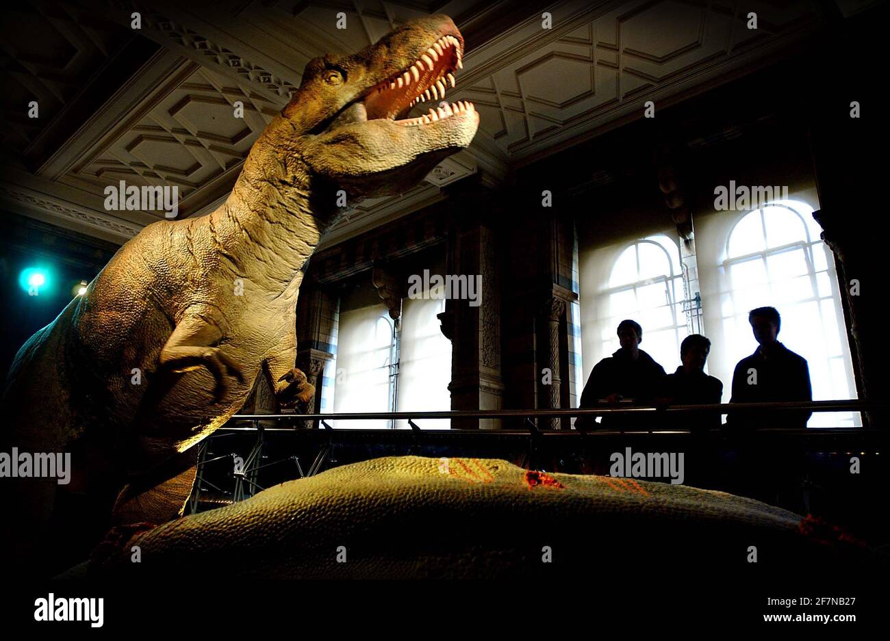 T rex hi-res stock photography and images - Page 4 - Alamy